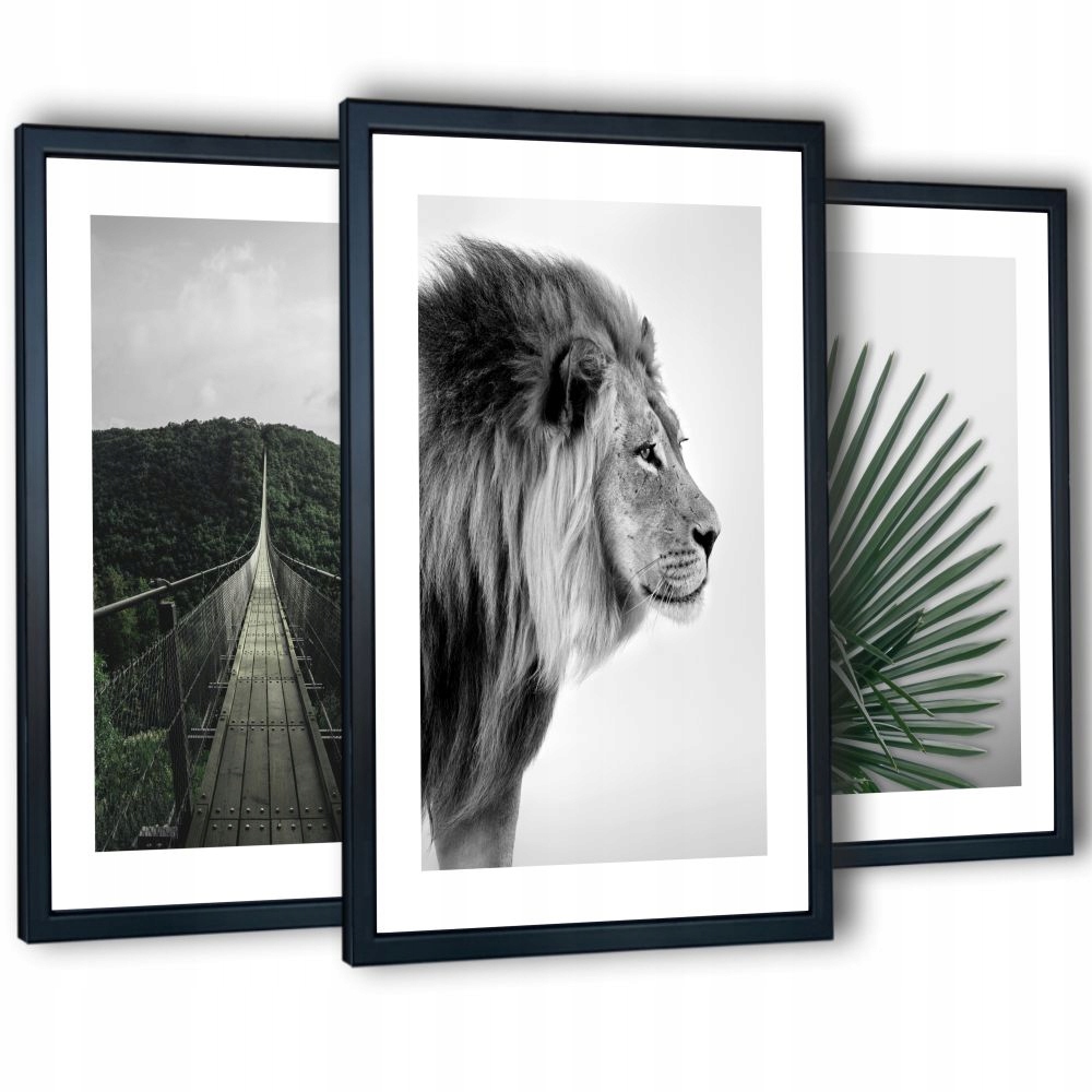 

3 plakaty w ramach do salonu travel lew 43x99 cm