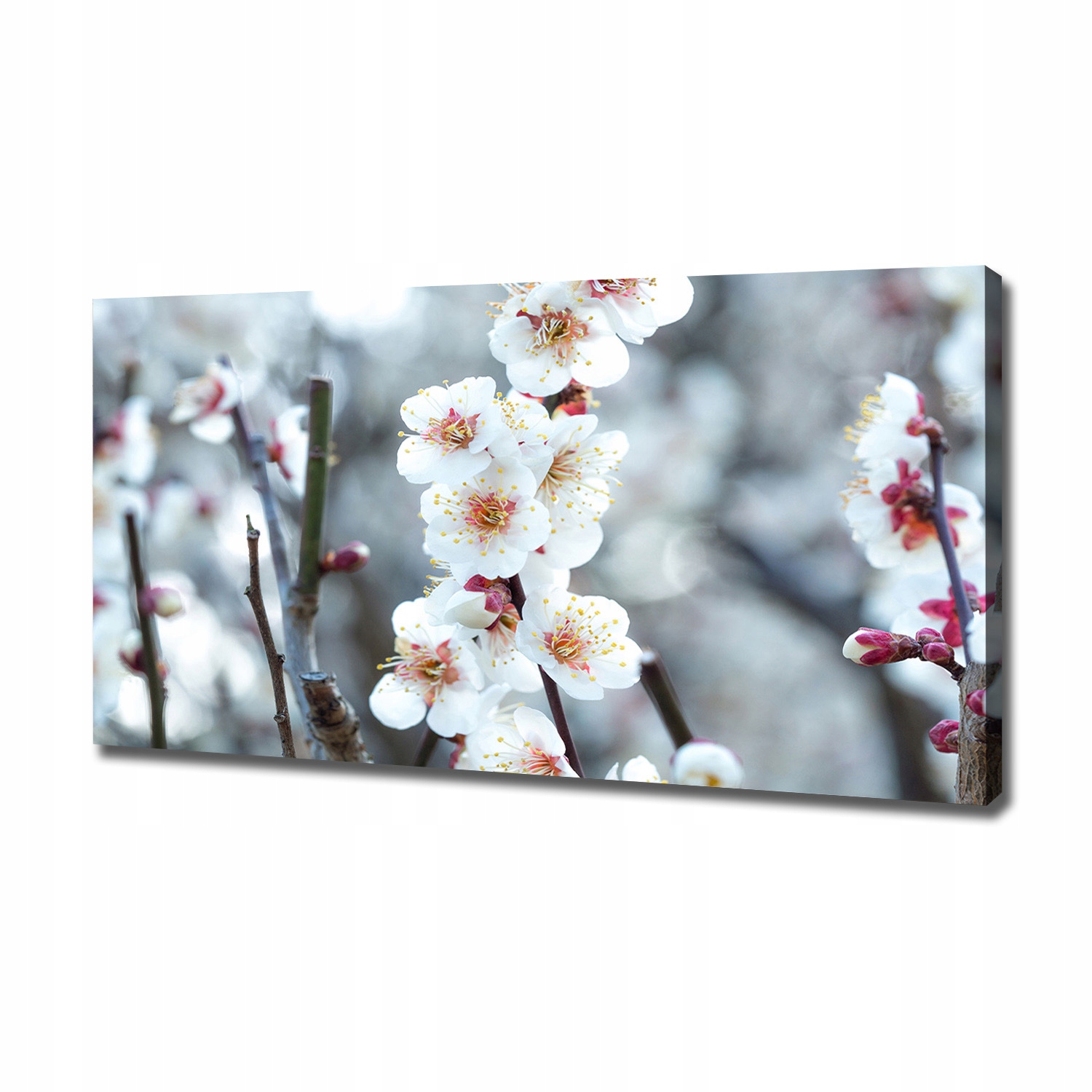 

Duży foto obraz na płótnie Kwiaty wiśni 120x60 cm