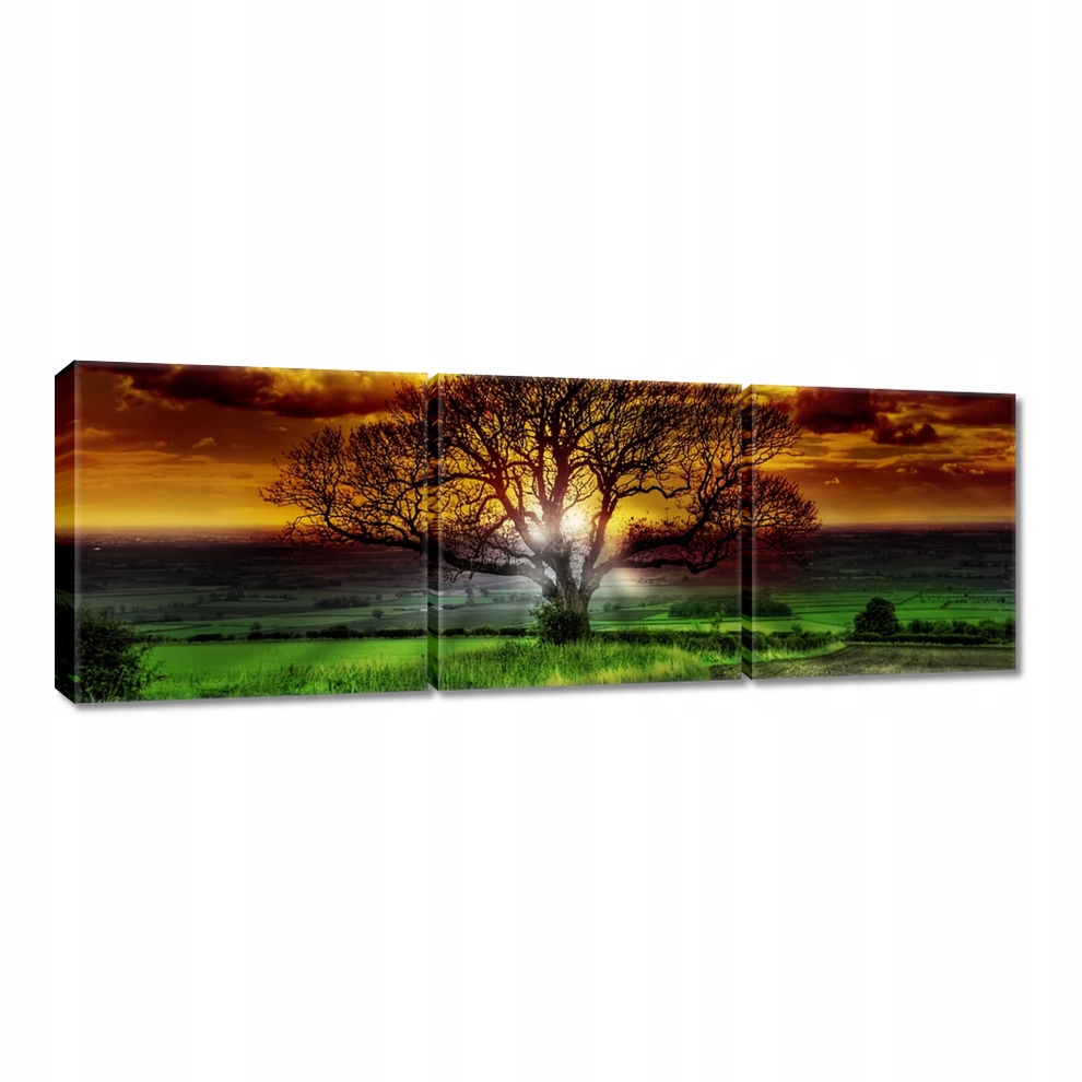 

Obrazy 90x30 Magiczne drzewo krajobraz