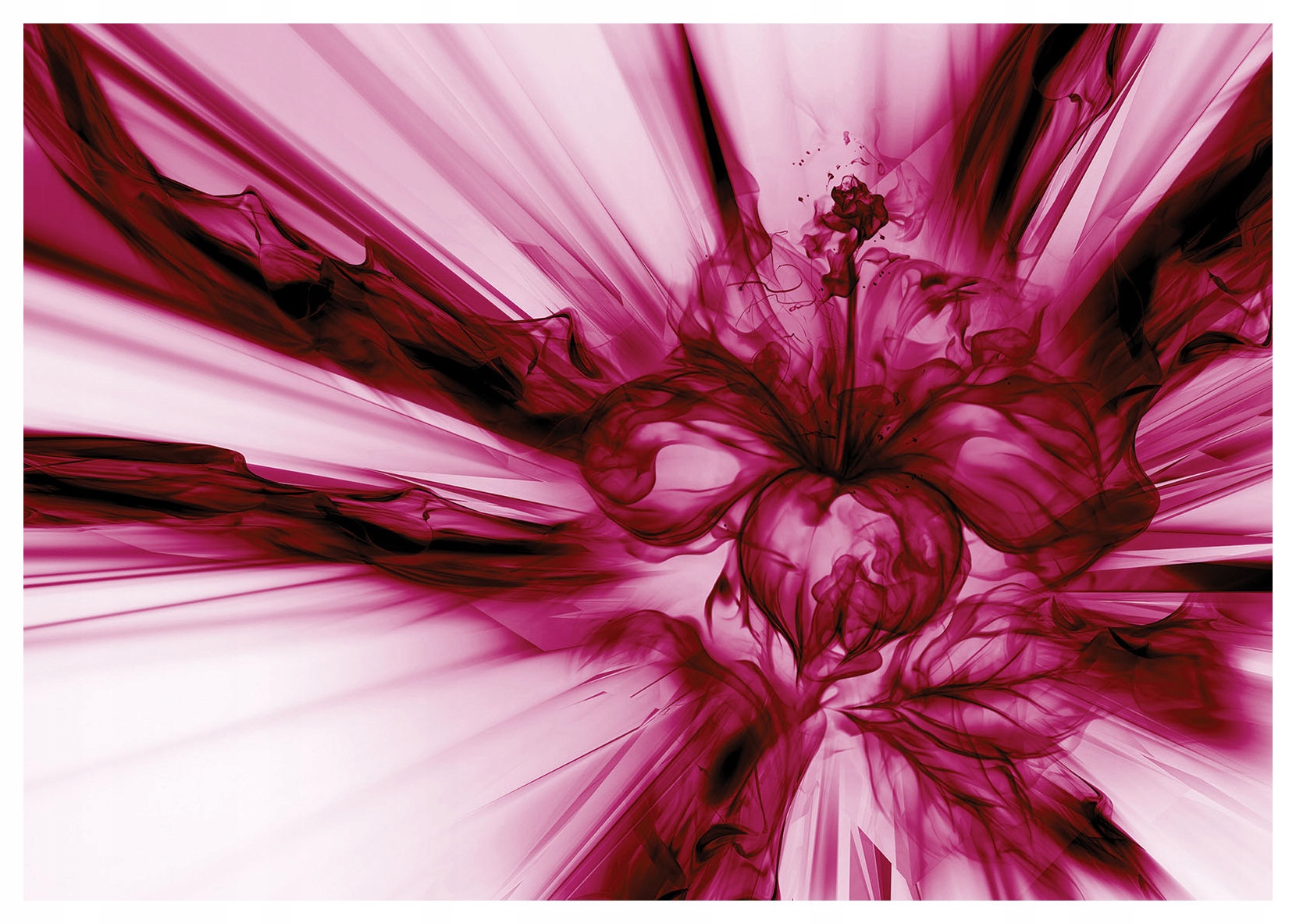 Vliesová fototapeta Magenta Kvetinová Abstrakcia Ruže 350x250 lepidlo