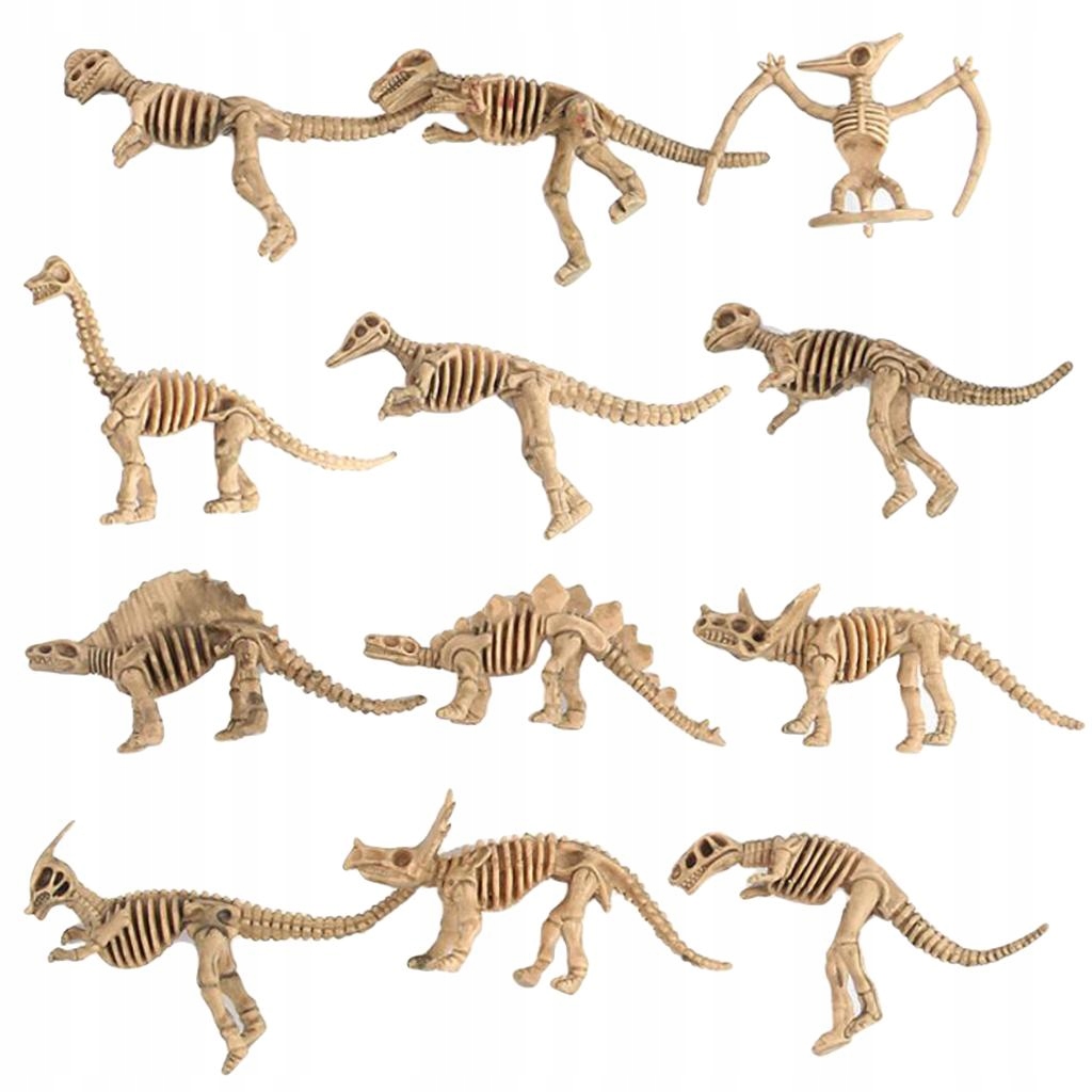 

12 zestaw do wykopalisk dinozaurów wykopać