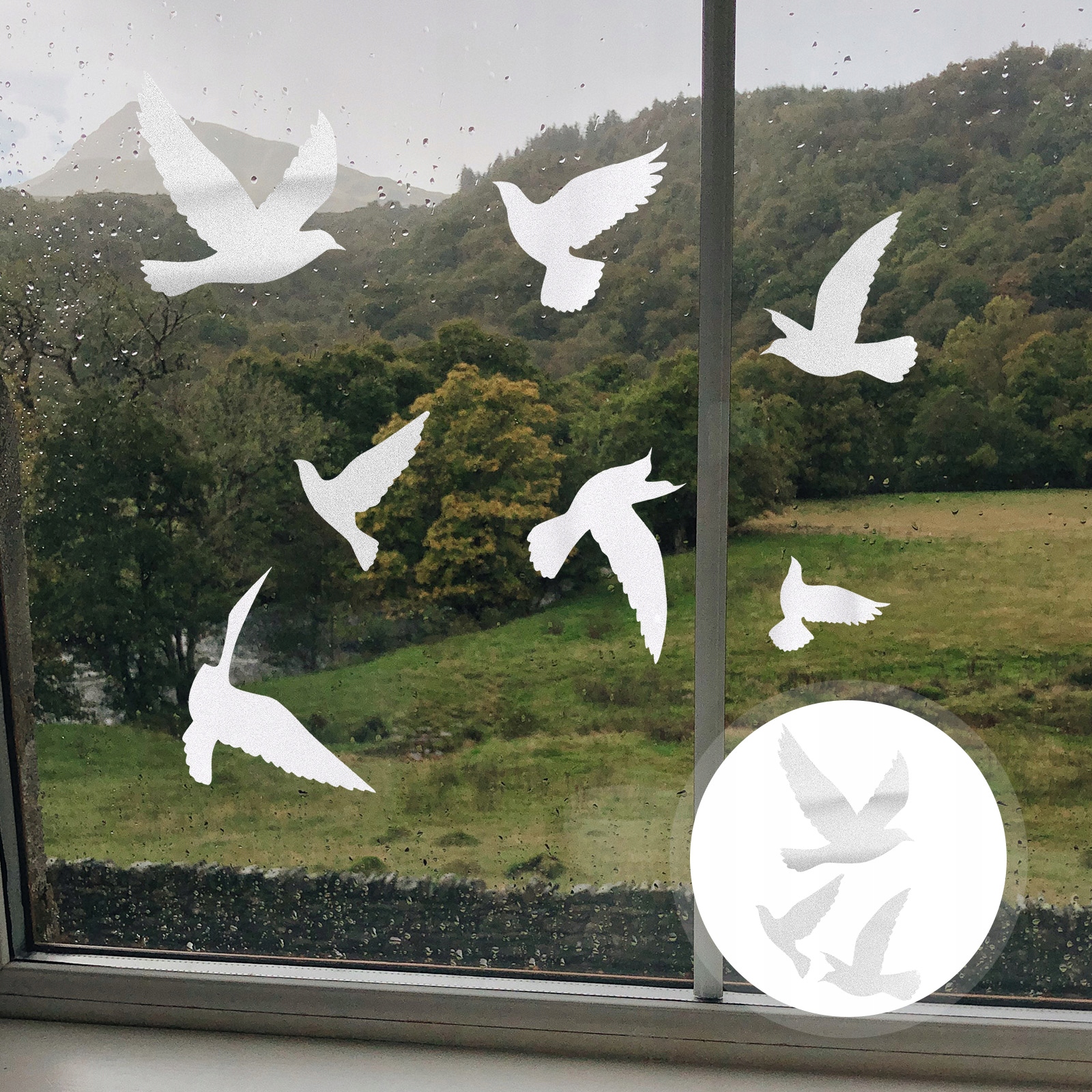 NAKLEJKI ANTYKOLIZJIOWE PTAKI NA SZYBĘ Liczba elementów w zestawie 0 szt.