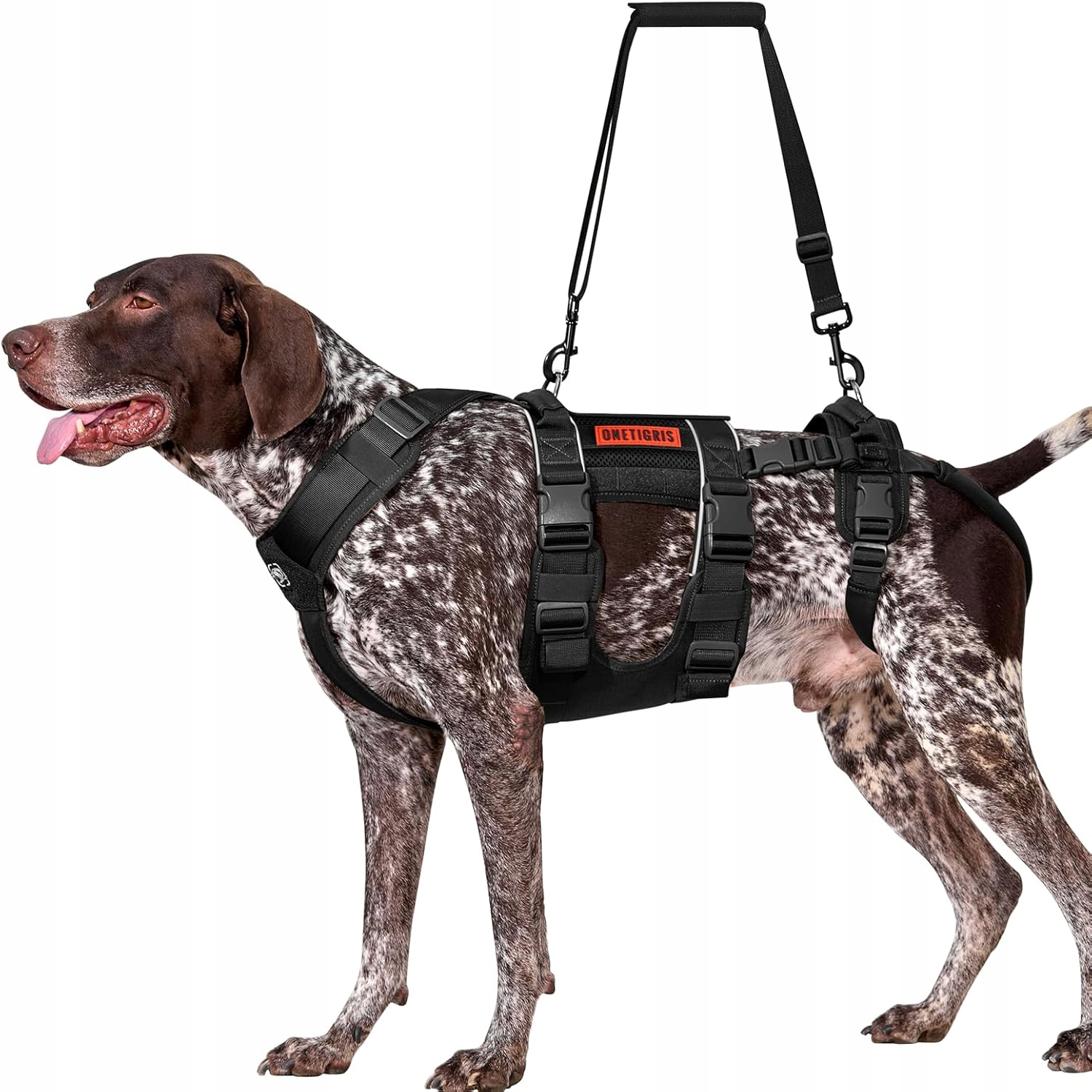 OneTigris Skyewalker postroj M 14-27 kg pro podporu rehabilitace Stabilní