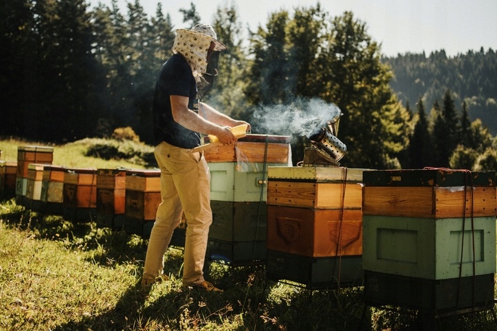Repce méz nektár 2025 230g Szilárd a méhésztől Miody Ceremuga Tömeg 0.23 kg