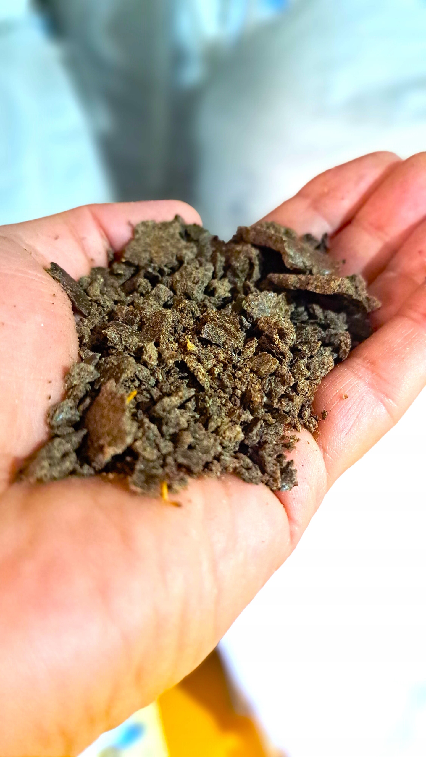 Makuch lniany pasza dla koni