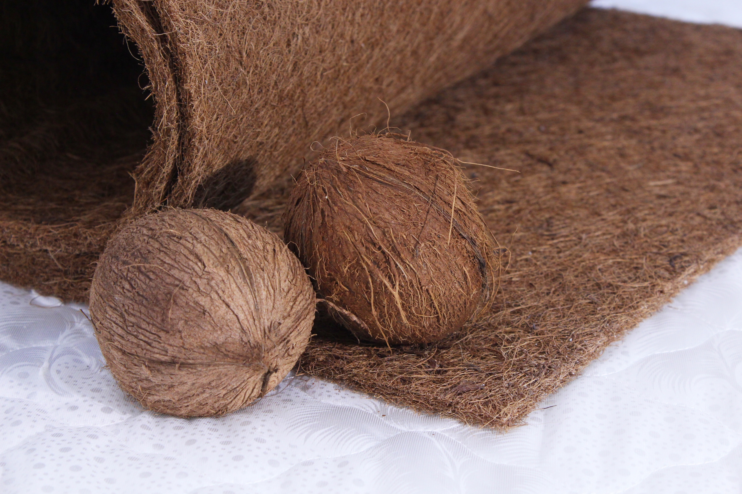 Materac DAKAR pianka,kokos 90x190x8 Marka inna