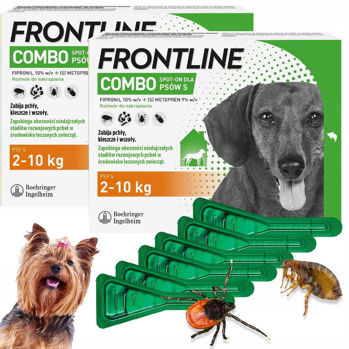 Krople Frontline Combo S Pies do 10kg 6 Pipet na Kleszcze Pchły na 180 dni