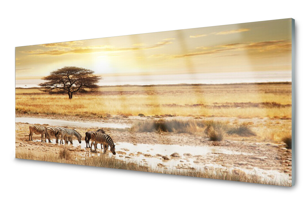 

Lacobel Szklany Dekor Szkło Foto Pustynia 140x70