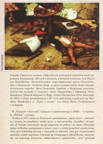 Złota księga nalewek Anna Rodak-Śniecińska, Maciej Robert ISBN 9788389642097