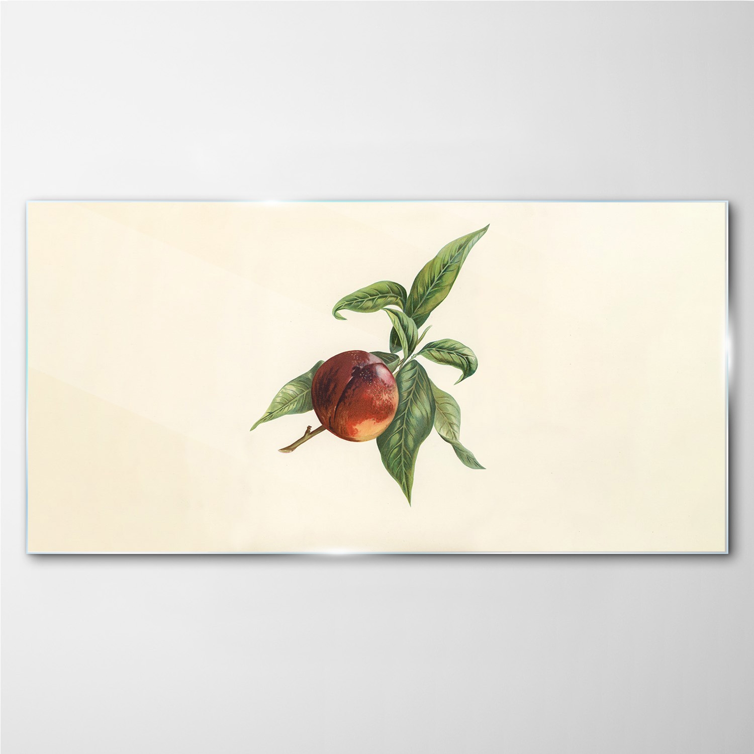 

Foto-obraz szklany Owoce gałąź liście 100x50 cm