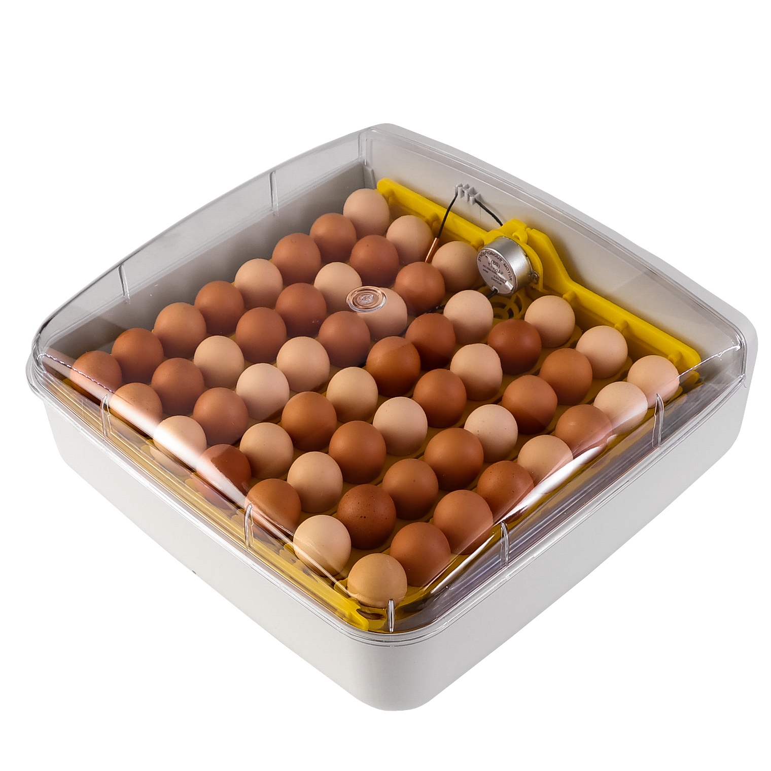 HFM BRUTEREI INKUBATOR Z TERMOSTATEM NA 56 JAJ ŚWIETNA JAKOŚĆ DUŻE JAJA Rodzaj inkubator