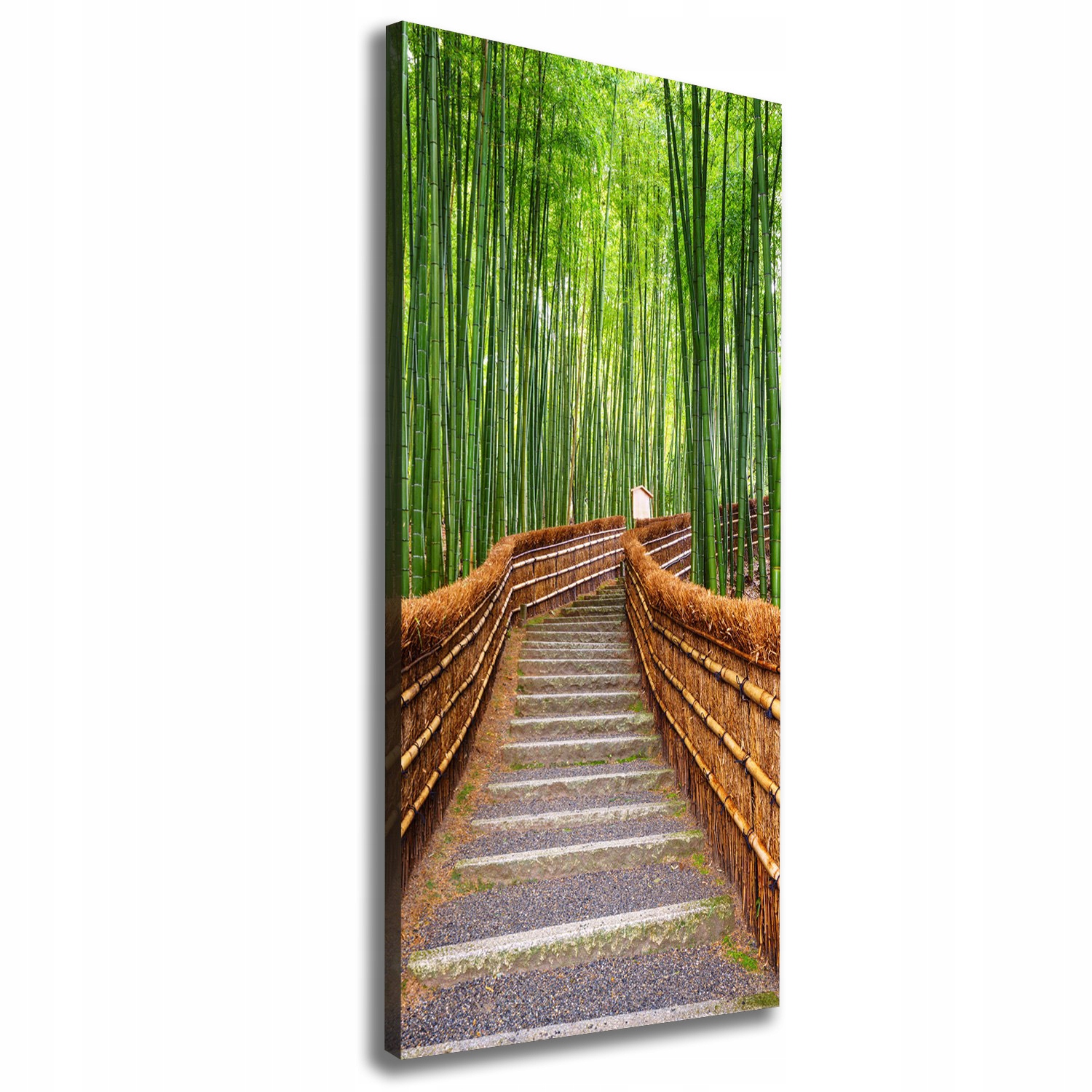 

Foto obraz na płótnie Las bambusowy 50x125 cm