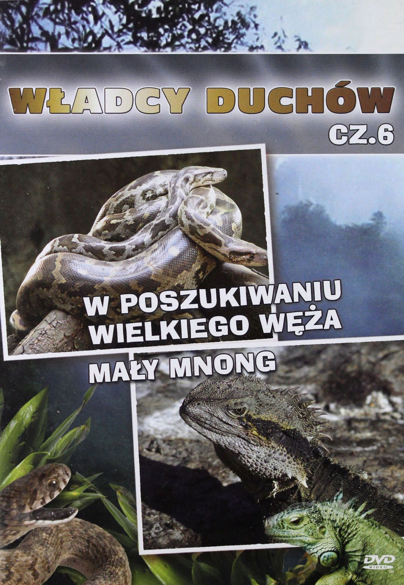 Władcy Duchów 6 [DVD]