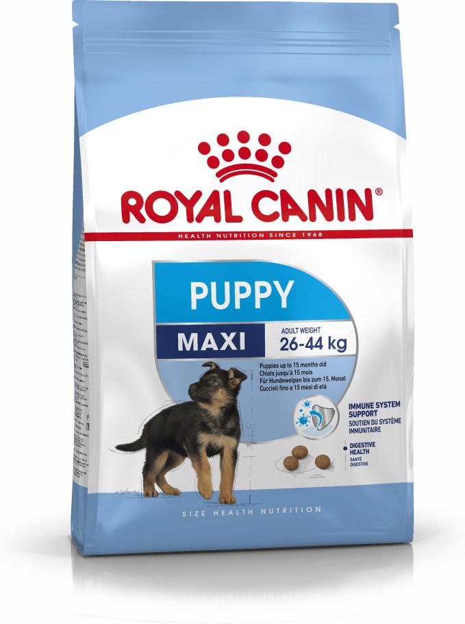 Levně Royal Canin Shn Maxi Puppy – suché krmivo pro štěňata – 4 kg