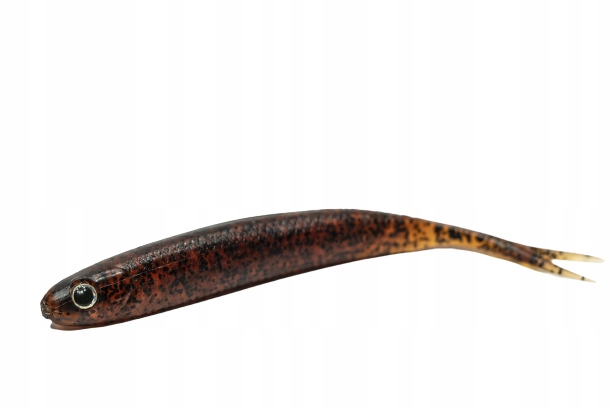 8 szt. Jaskółka Damiki 12,7 cm Sandacz Szczupak