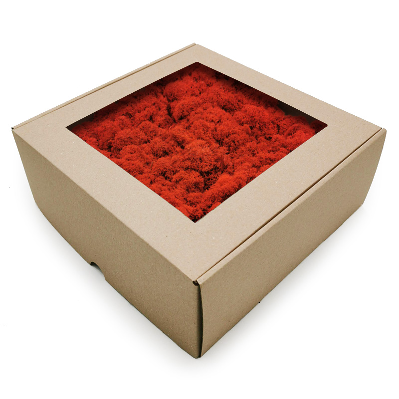 500g Mech chrobotek Czerwony OCZYSZCZONY