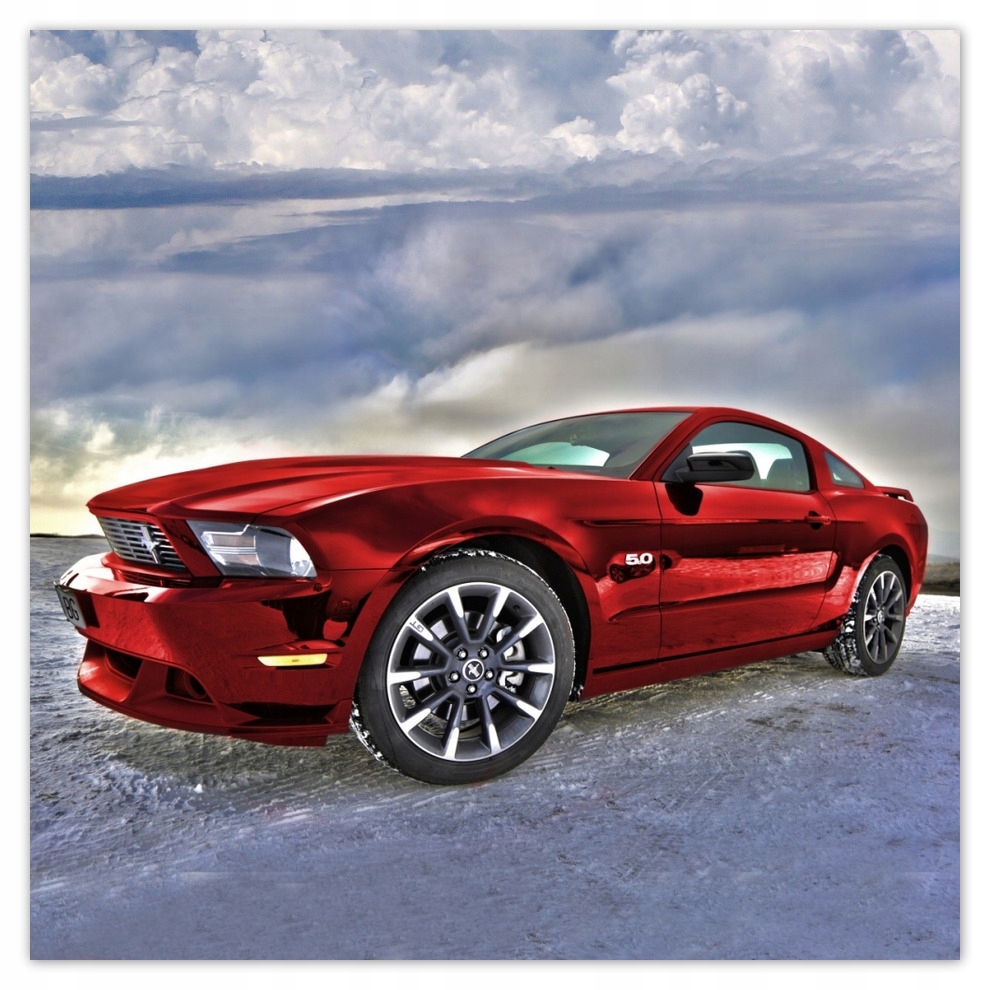 

Fototapety flizelina 312x312 Czerwony Mustang