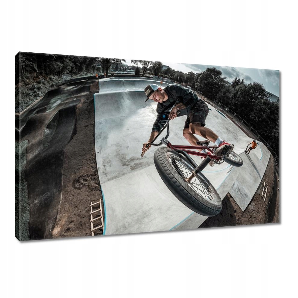 

Obrazy 90x60 Bmx Sport wyczynowy Skoki