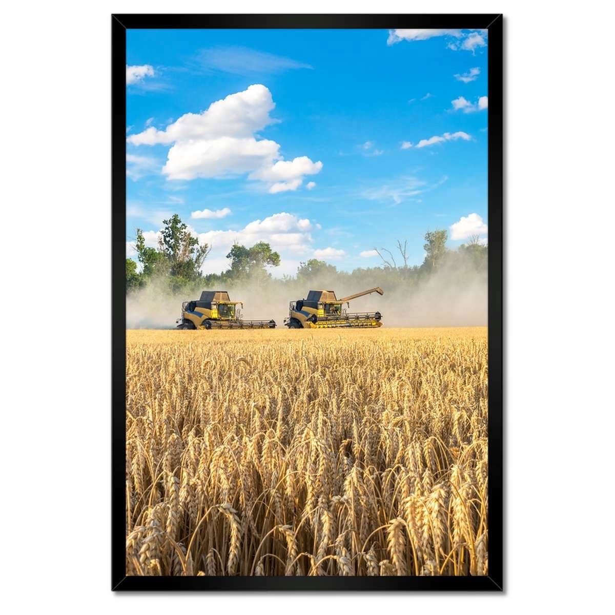 Plakáty v rámu 40x60 Dvě kombajnové sekačky