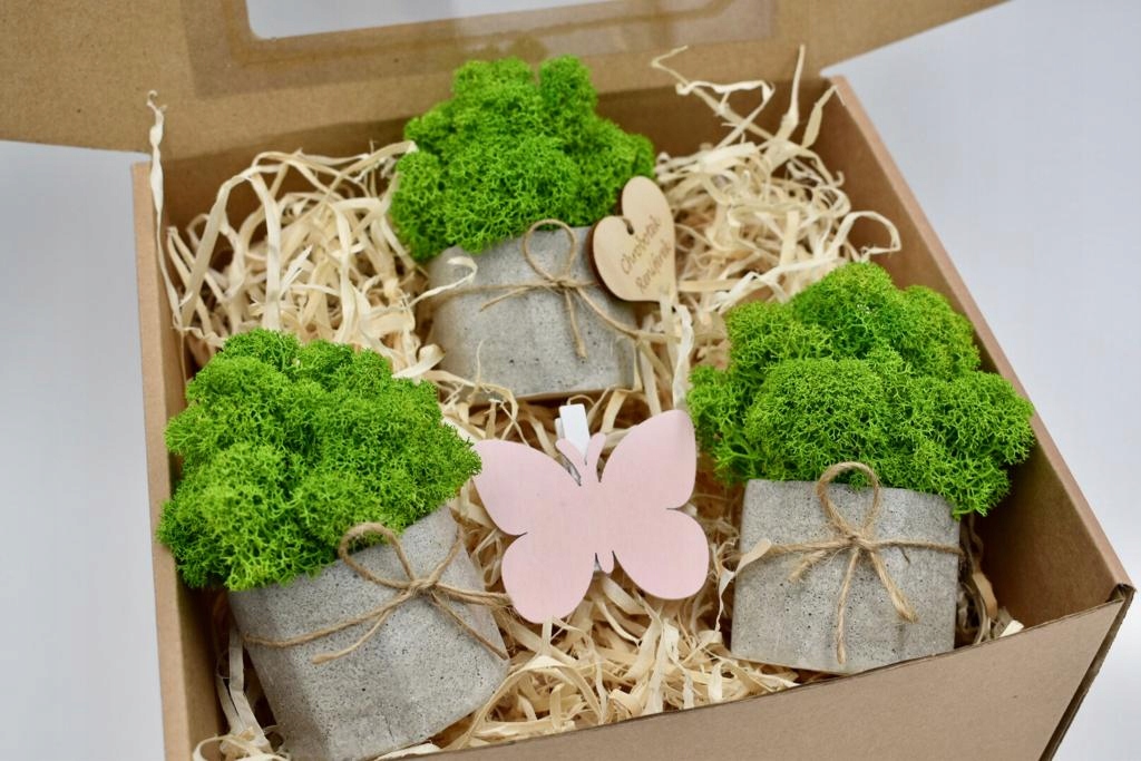 Wiosenny Zestaw Chrobotkowych lasów Wysokość produktu 11 cm