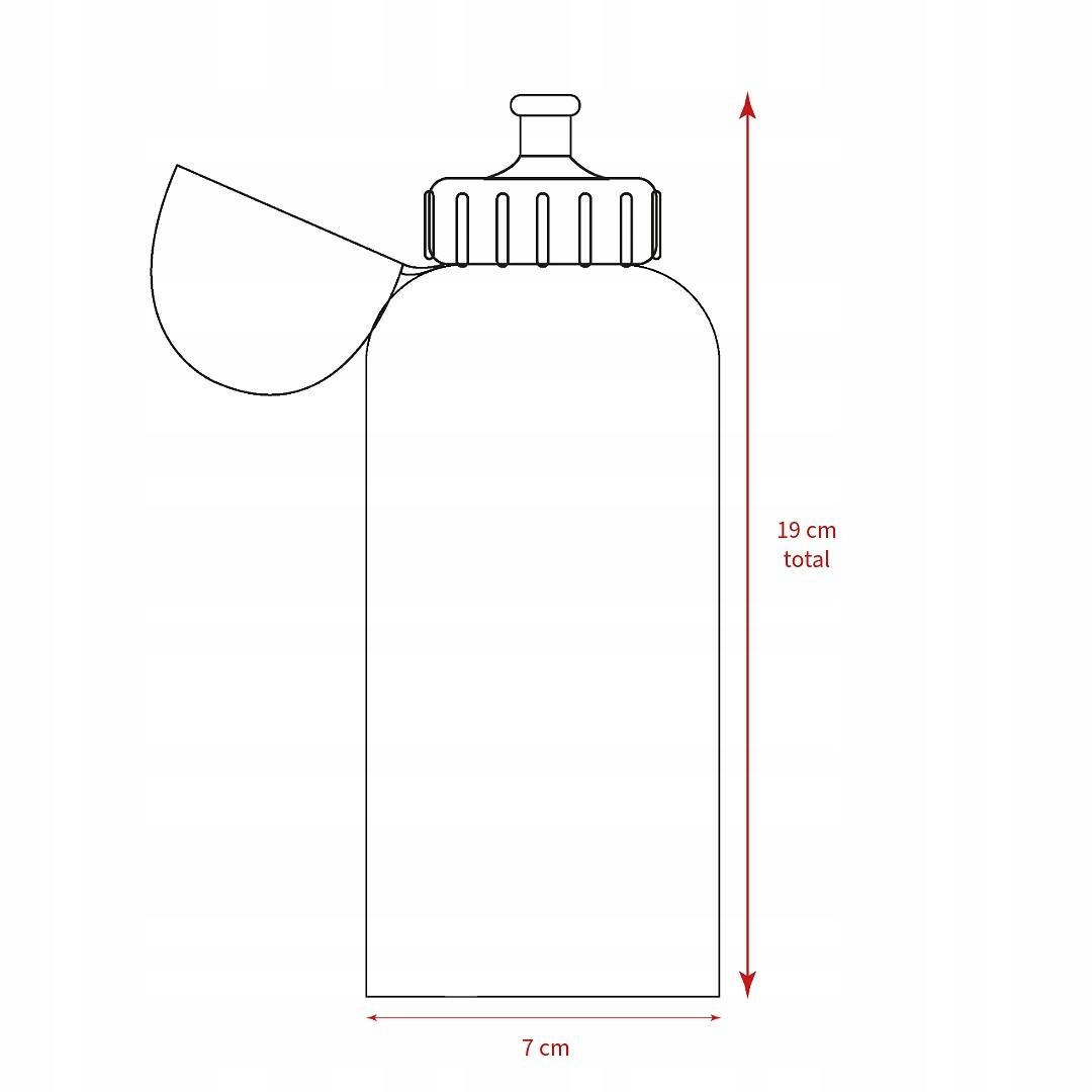 LILO I STICH BIDON BUTELKA DO PICIA DO SZKOŁY WYCIECZKĘ DLA DZIECI Rodzaj bidon