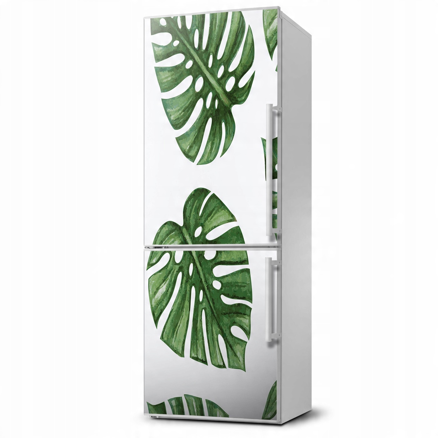 

Magnes fototapety na lodówkę Monstera 60x180