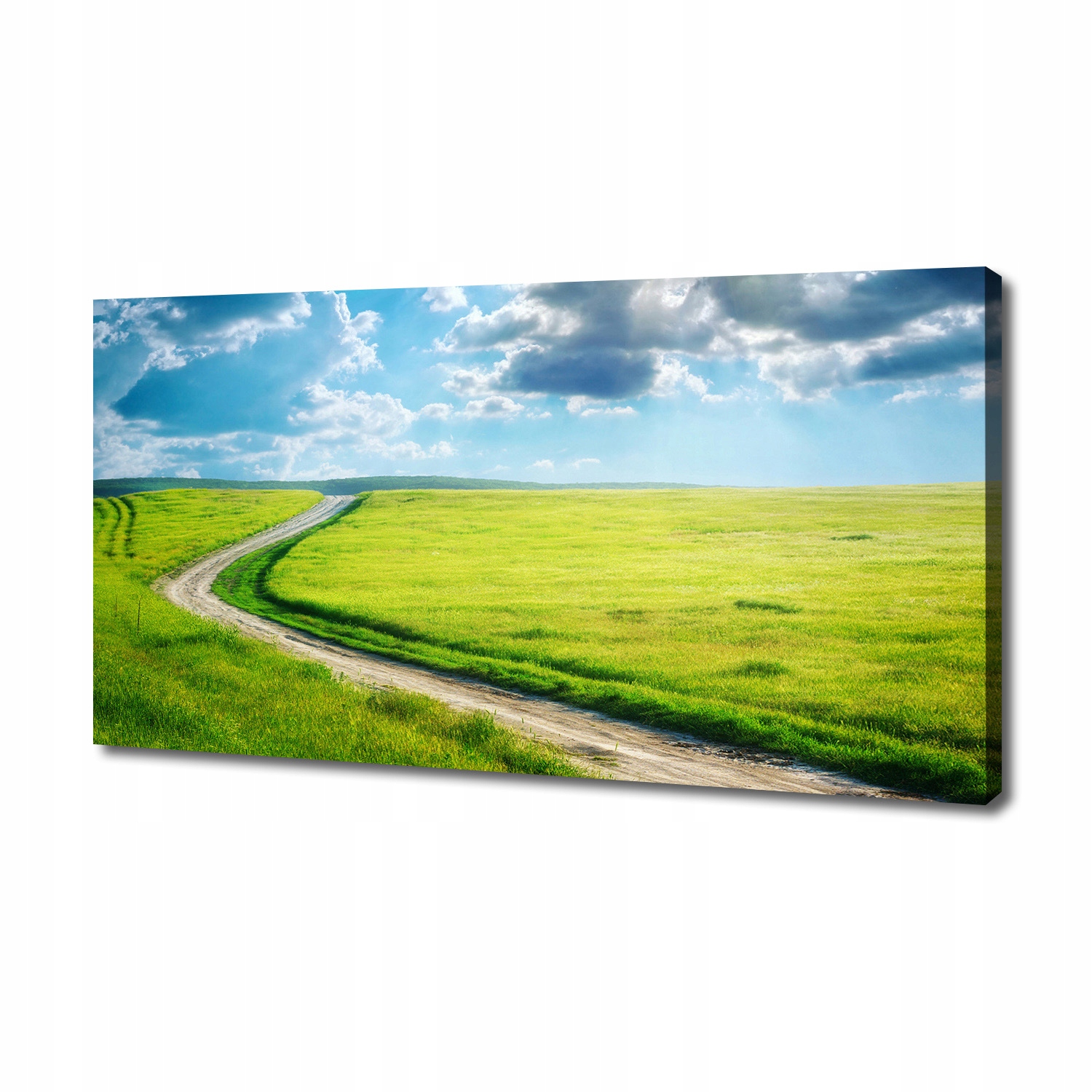 

Foto obraz na płótnie Ścieżka na łące 140x70 cm