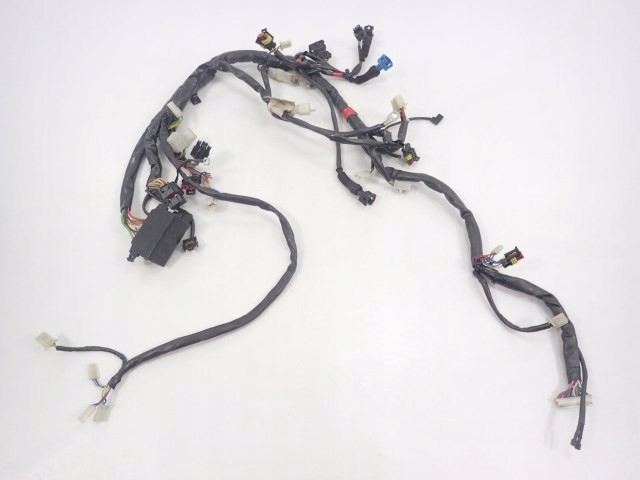 60348-1111 - Встановлення джгута Moto Guzzi