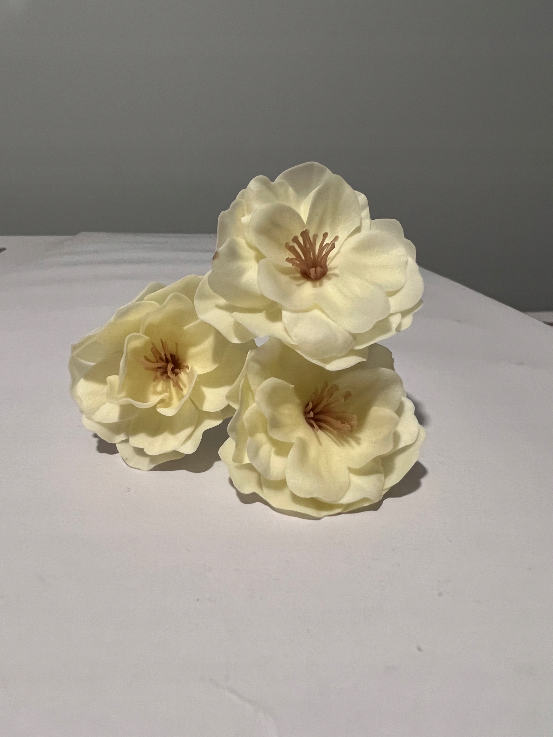 

Kwiat wiśni jasno żółty, wiśnia (1 szt.) Flowerbox