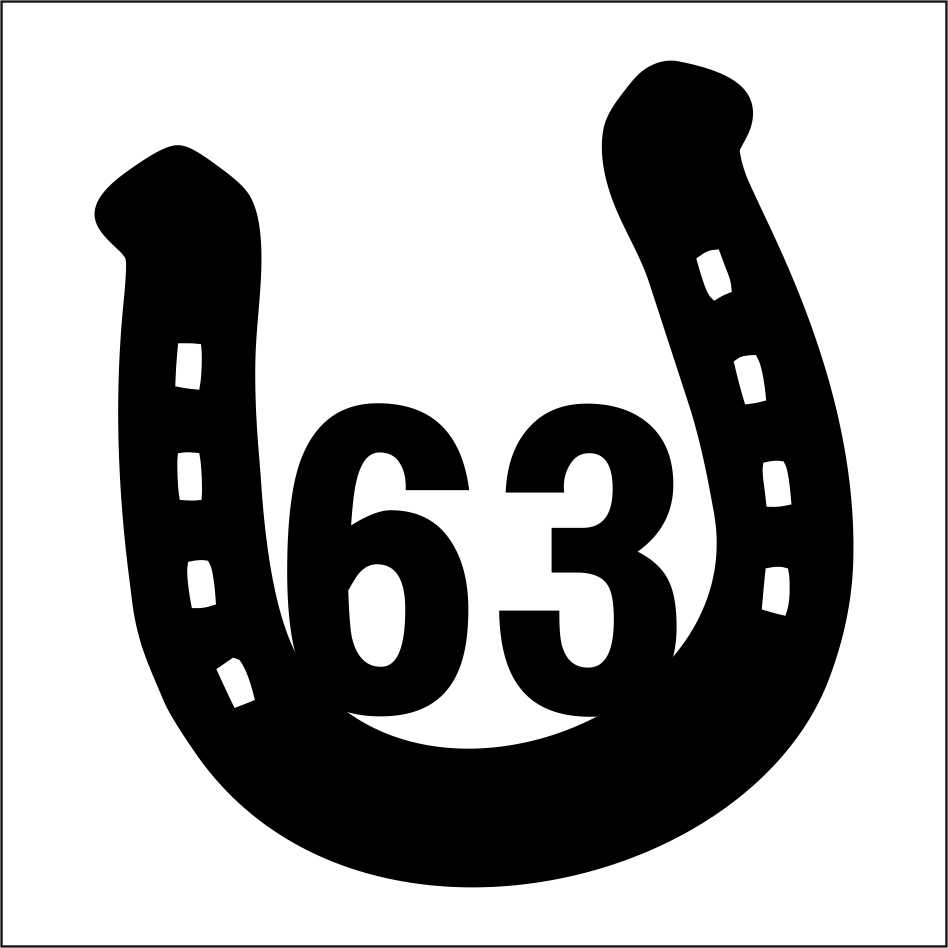 Numer domu, szyld adresowy PODKOWA, 2 wzory, 5 lat