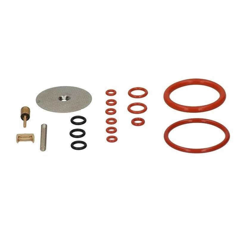 Saeco uszczelka zaparzacz Gran Barista nr 312A