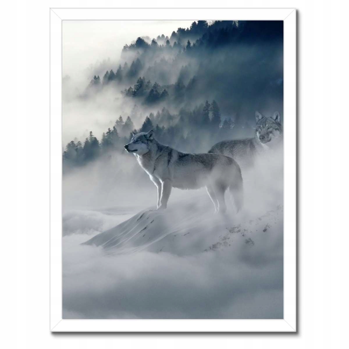 Plakáty v rámu 30x40 Vlci v přírodě