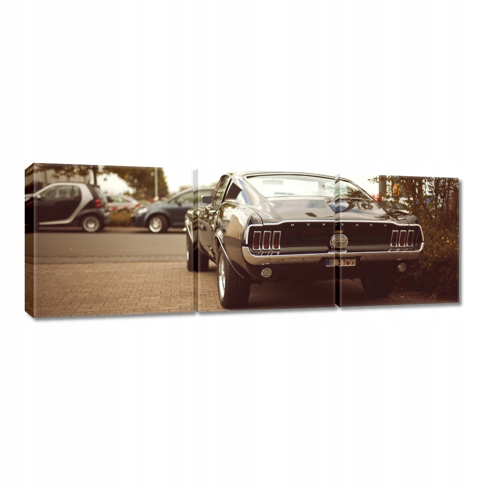 

Obrazy 90x30 Ford Mustang Black-white