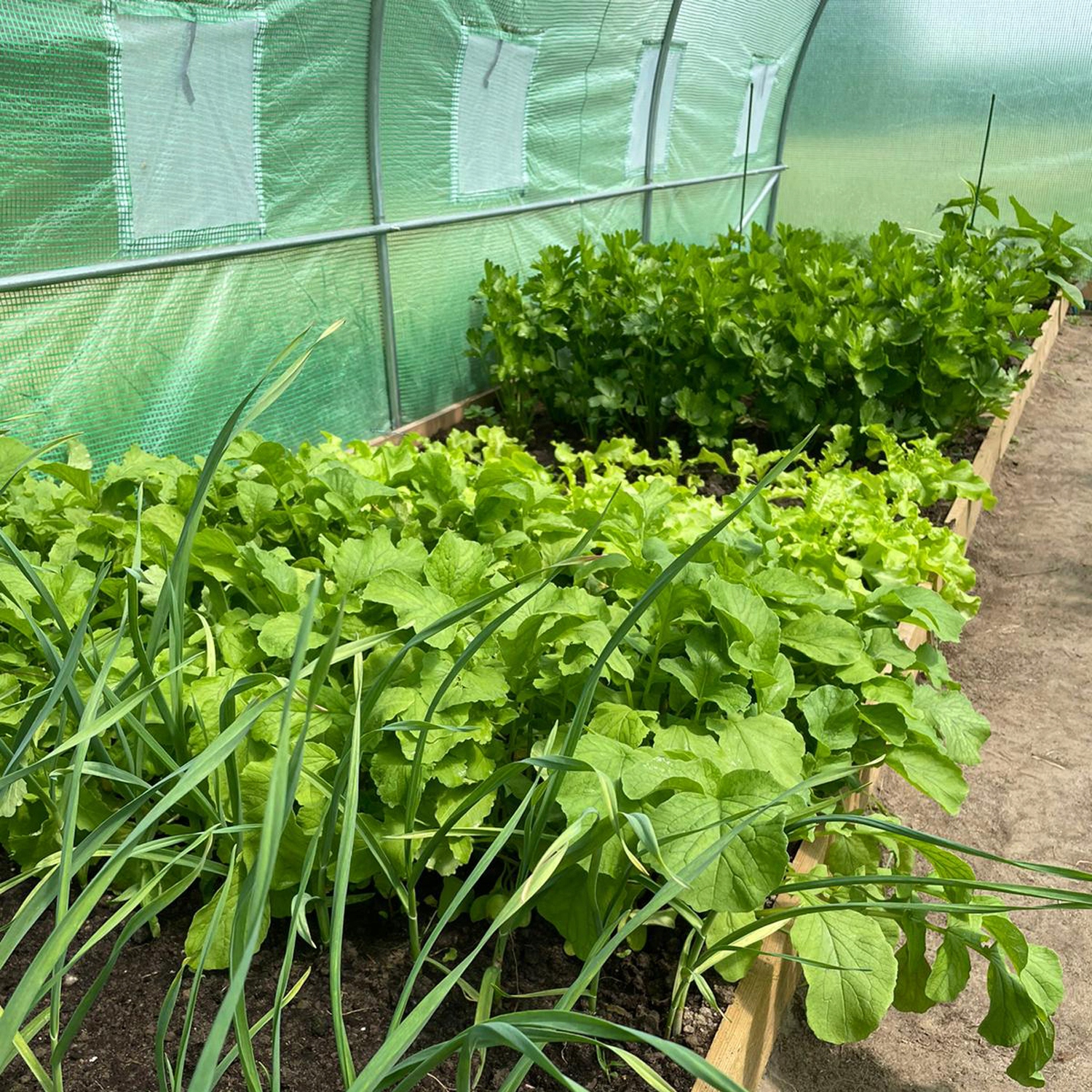 MOCNY TUNEL OGRODOWY FOLIOWY SZKLARNIA FOLIA NAMIOT UV 2x3x2m WIELOSEZONOWY Waga produktu z opakowaniem jednostkowym 25 kg