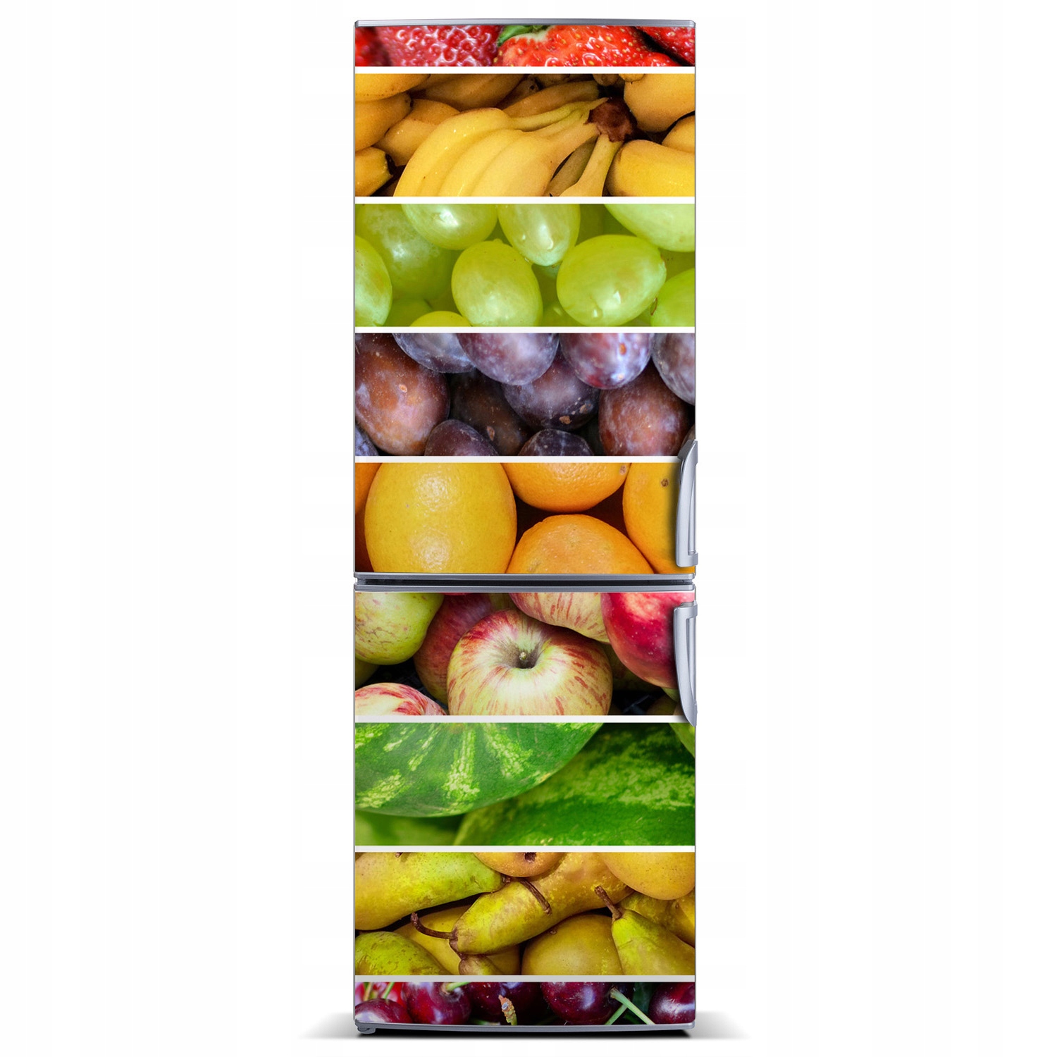 

Fototapeta magnesowa na lodówkę Kolorowe owoce