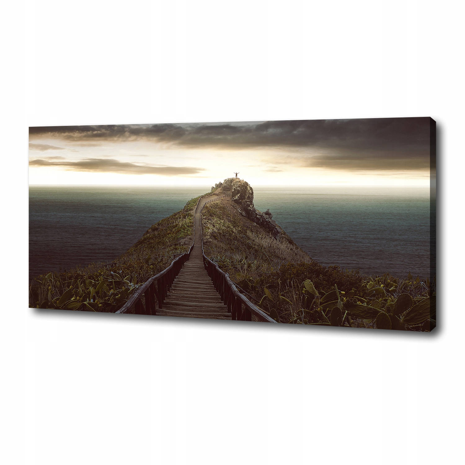 

Foto obraz na płótnie Ścieżka na skale 125x50 cm