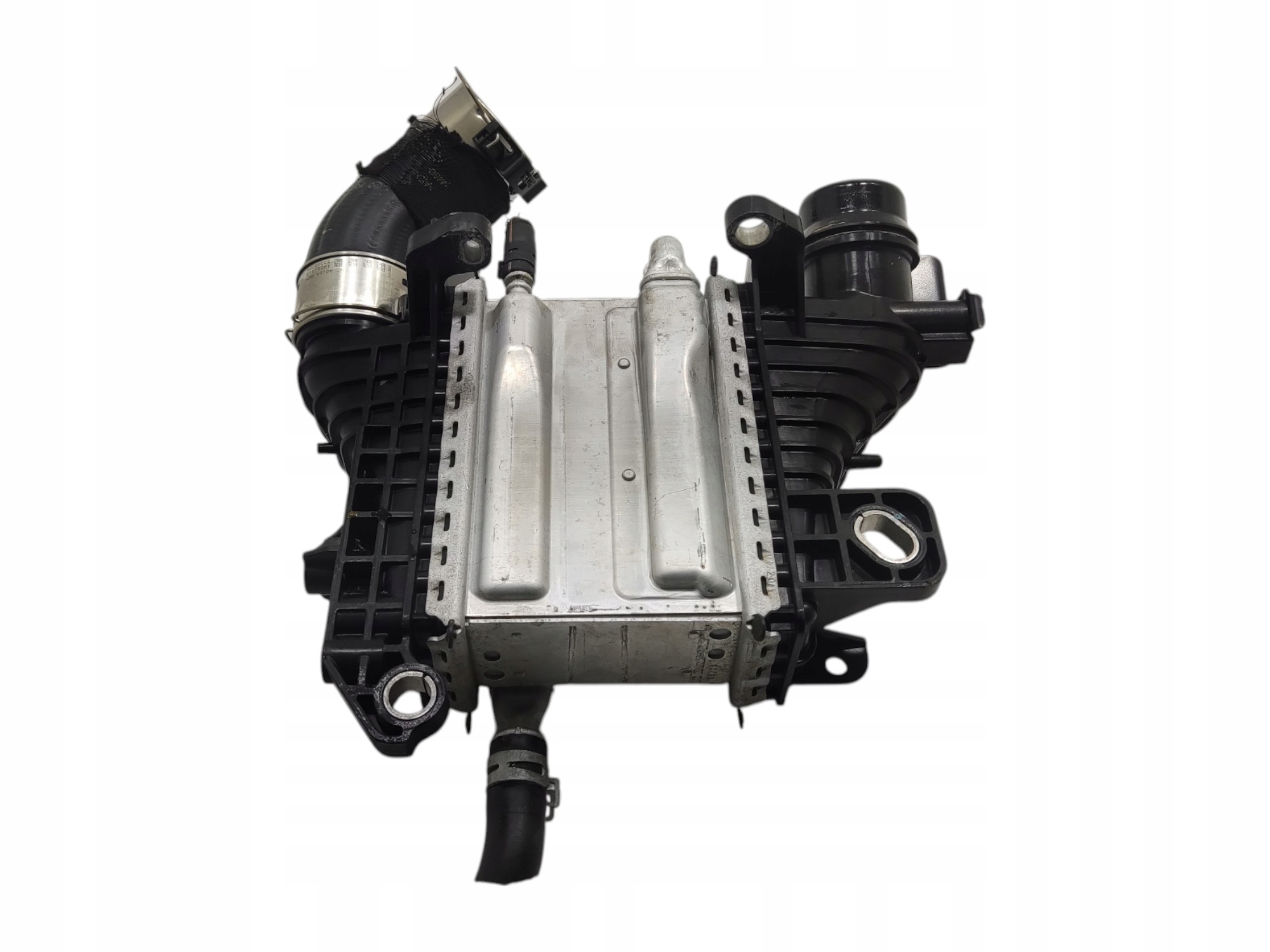 Mezichodič R 1.5BLUEDCI Org 144967867R