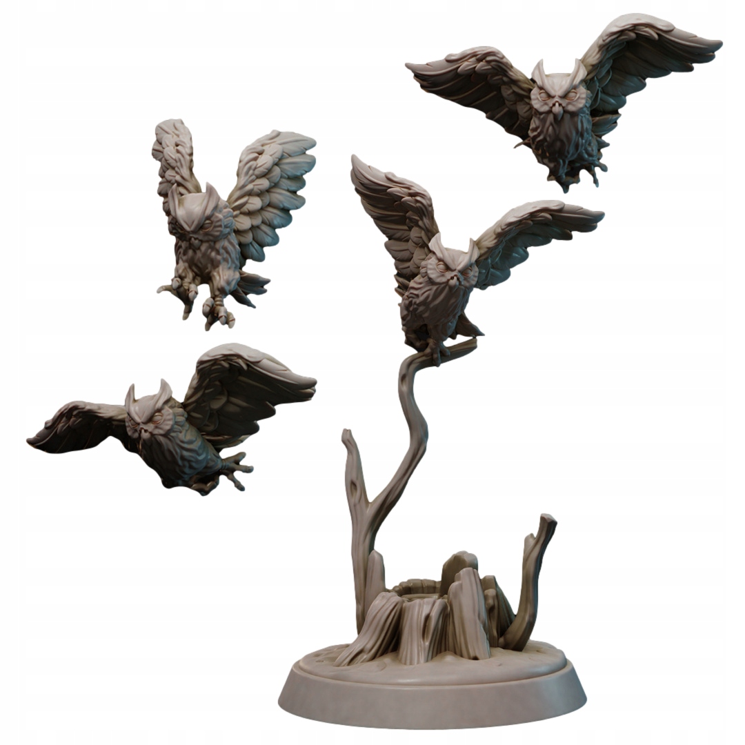 Owls - Sowy - RPG D&D Galaad