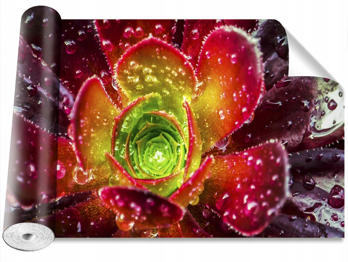 

Tapeta Samoprzylepna Kwiat Czerwony 104x70