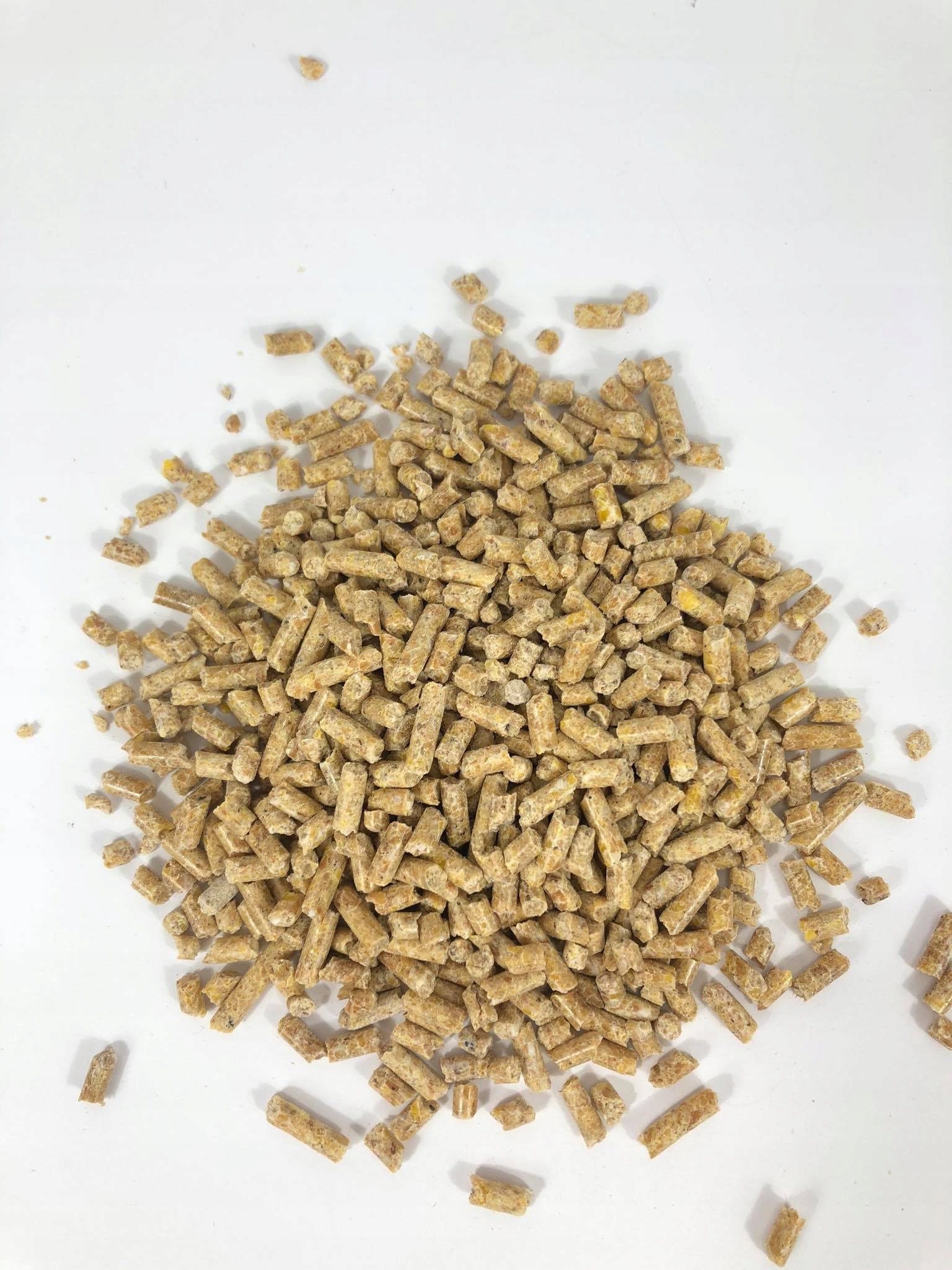 Karma dla ryb, pasza dla ryb 25% białka KARP 25kg Marka Rolmix