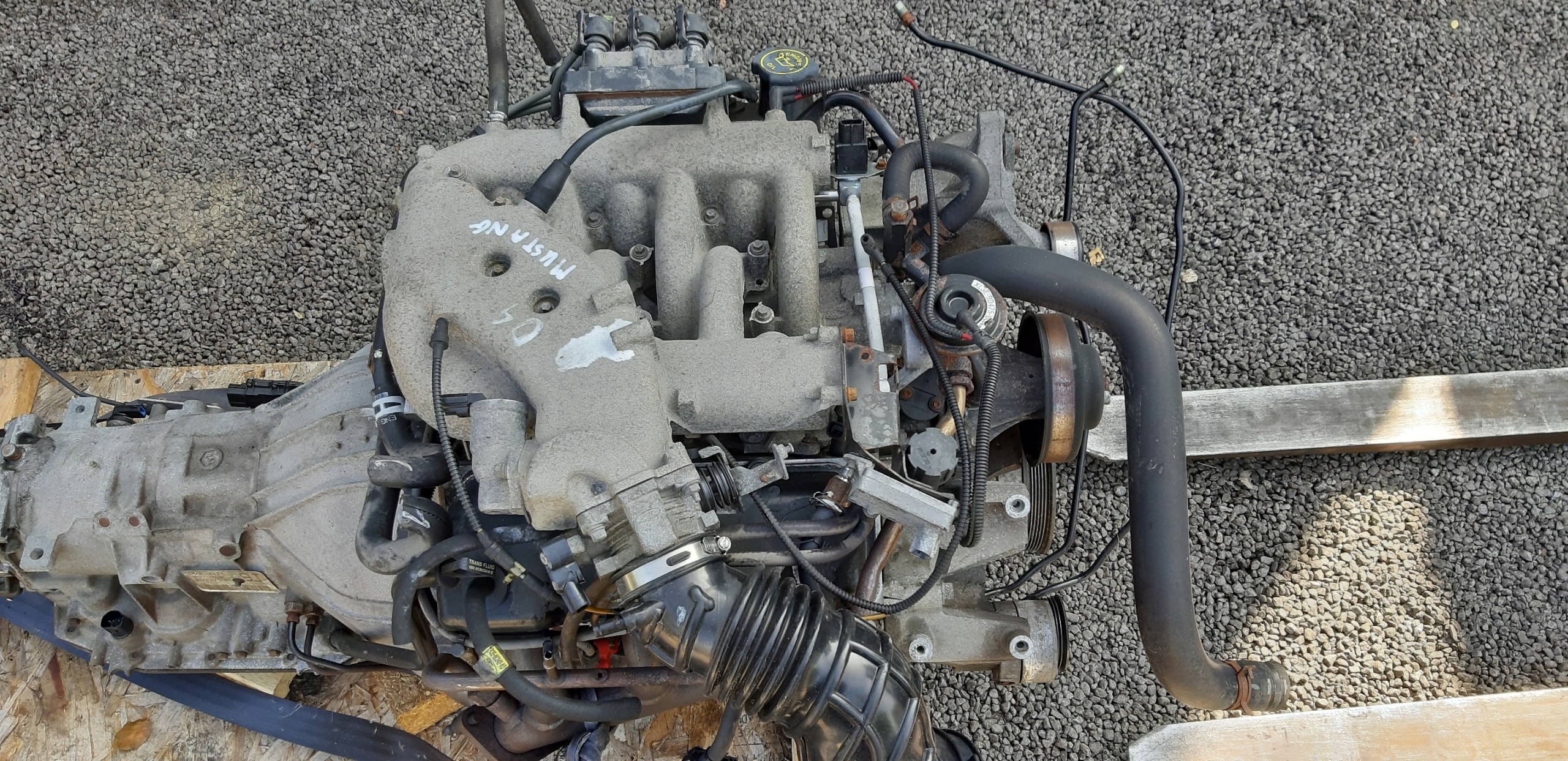 Двигатель 3.8 FORD MUSTANG 93-04r