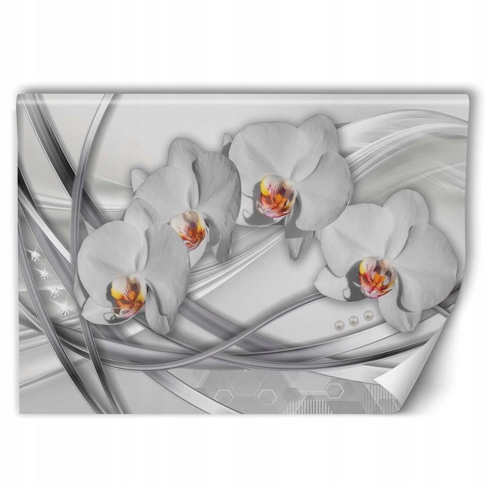 

Tapeta Na Ścianę 3D Abstrakcyjne Orchidee 200x134