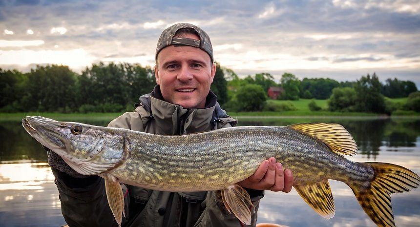 GUMA CANNIBAL SAVAGE GEAR KOPYTO NA SZCZUPAKA RED HEAD 12,5 CM Przeznaczenie sandacze sumy szczupaki