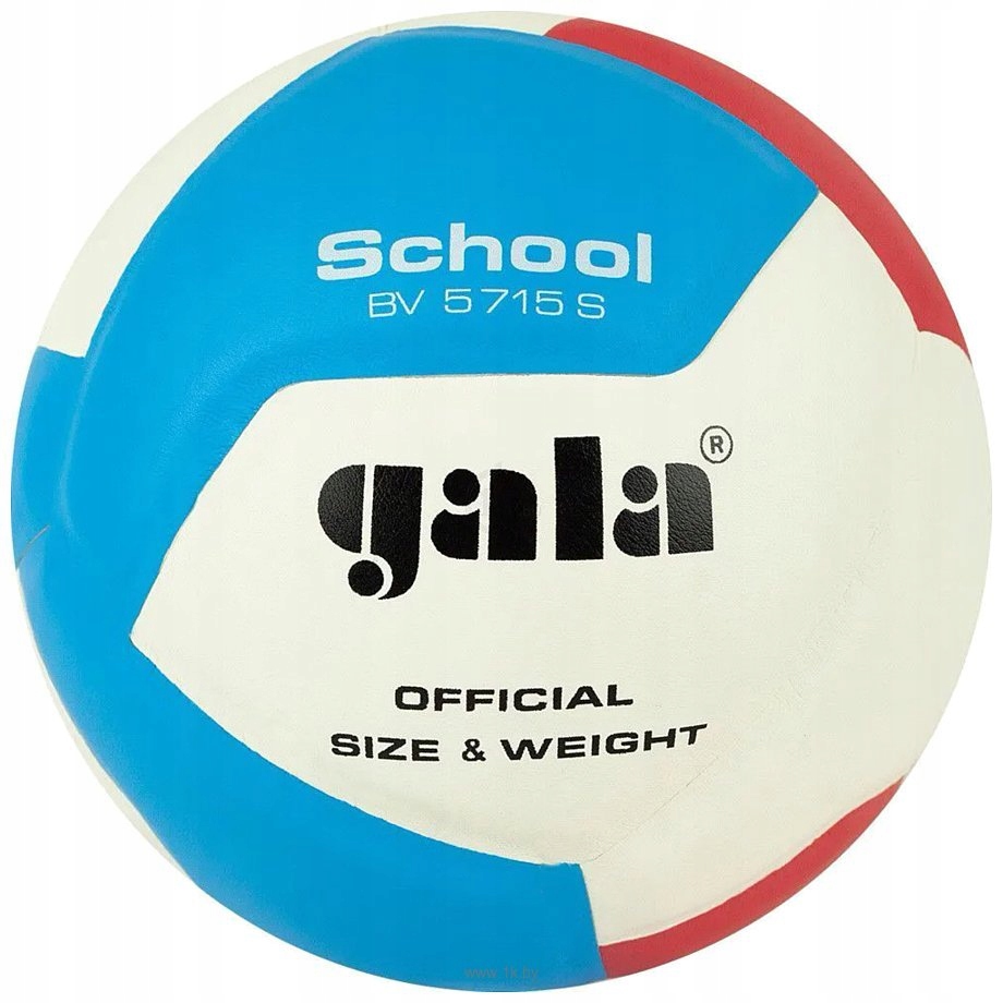 Míč volejbal Gala School 12 BV5715S