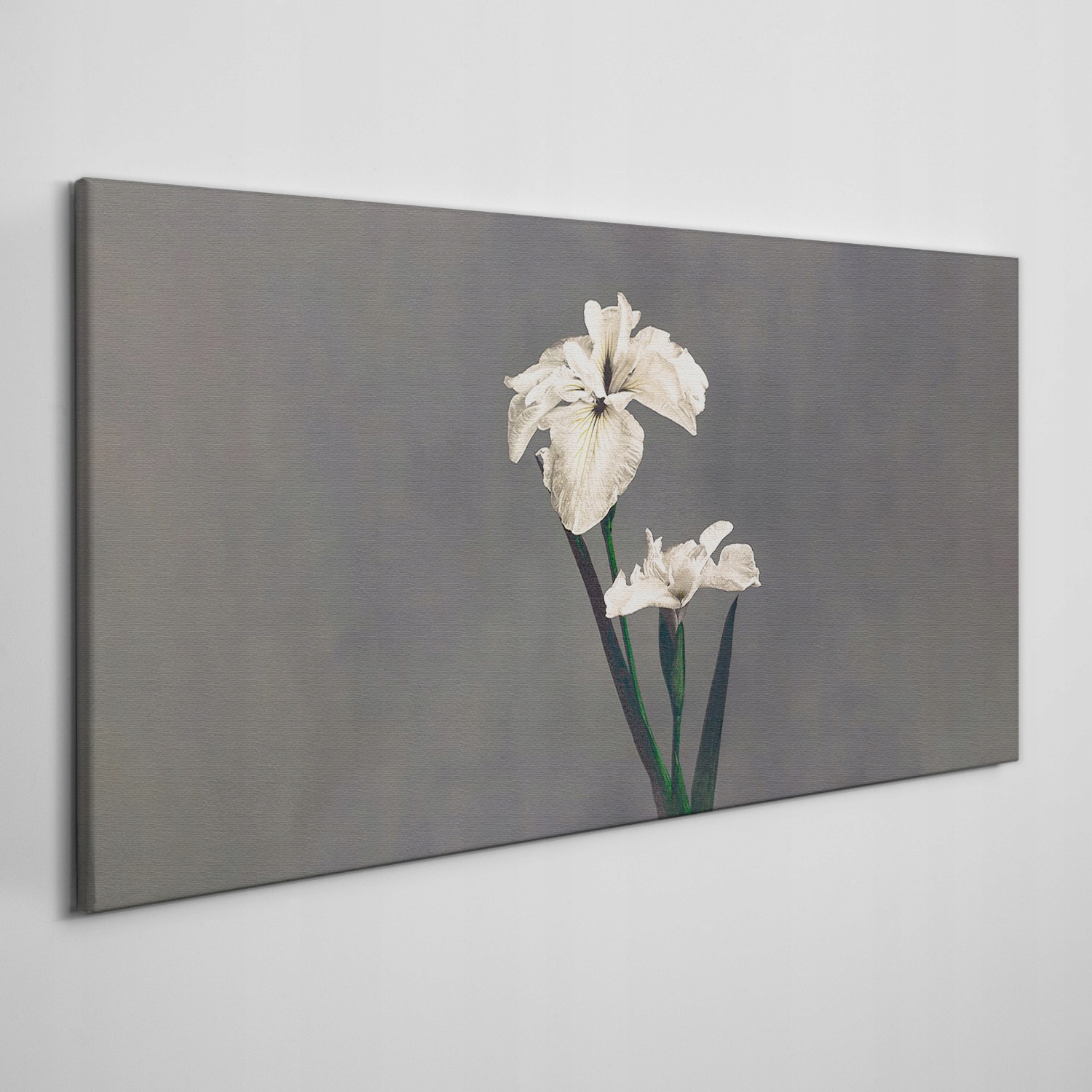 

Obraz ścienny na płótnie Kwiaty rośliny 140x70 cm