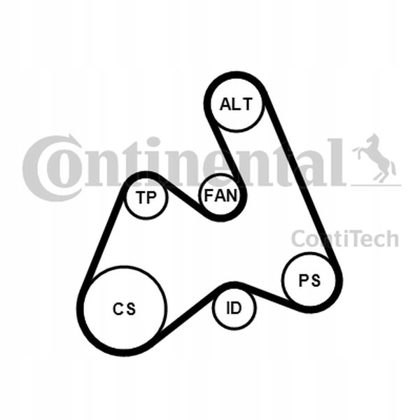 ZESTAW PASKA WIELOROWKOWY VW 1,9TDI A4/A6/PASSAT 5PK1592K1