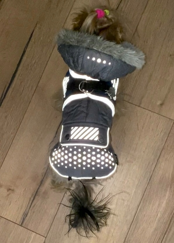 ODBLASKOWA NAPRASOWANKA NA ODZIEŻ KURTKĘ BLUZĘ Model TAŚMA TERMICZNA