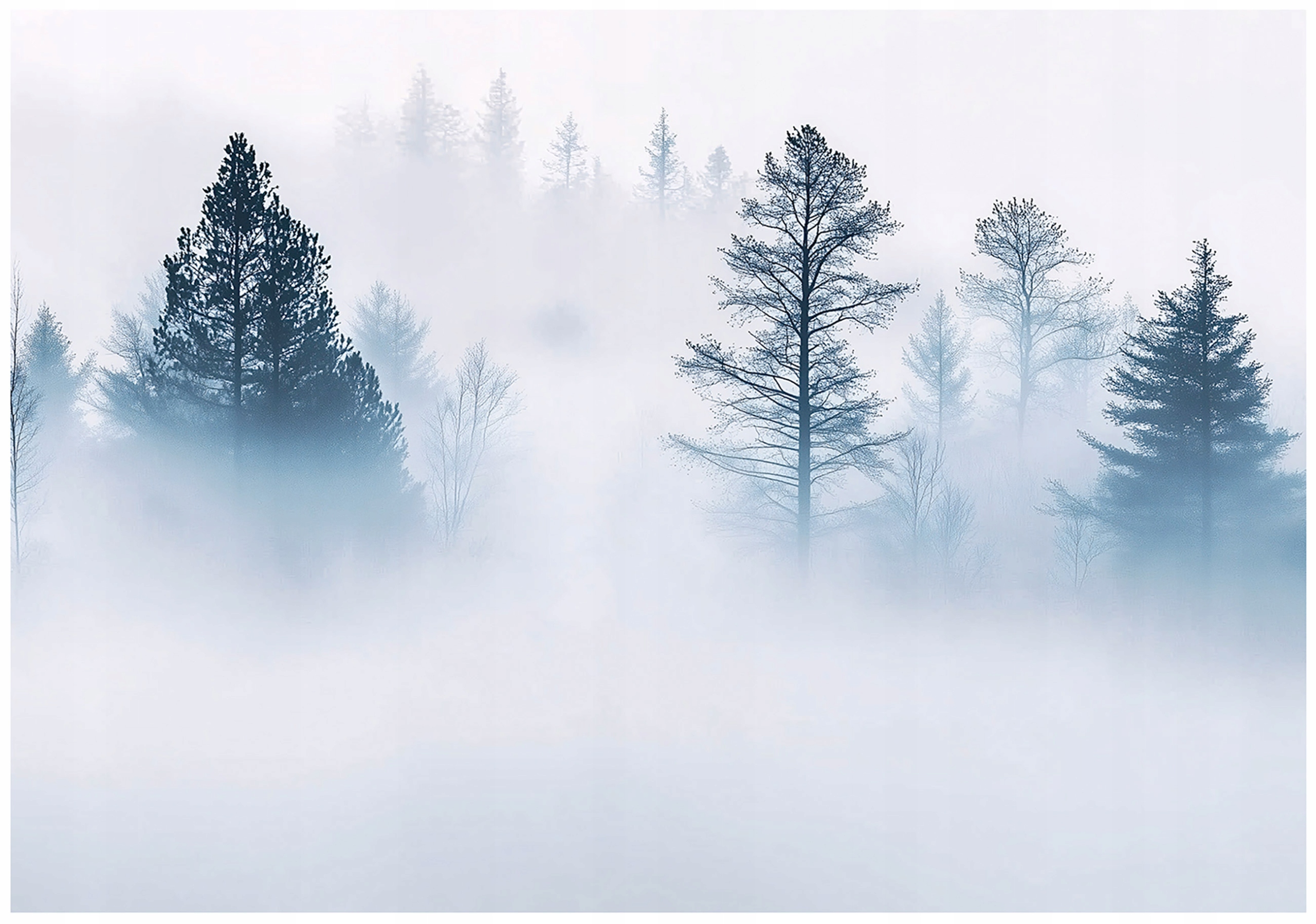 Tapeta Stromy V Mlze Krajina Příroda Fototapeta Na Zeď 300x210