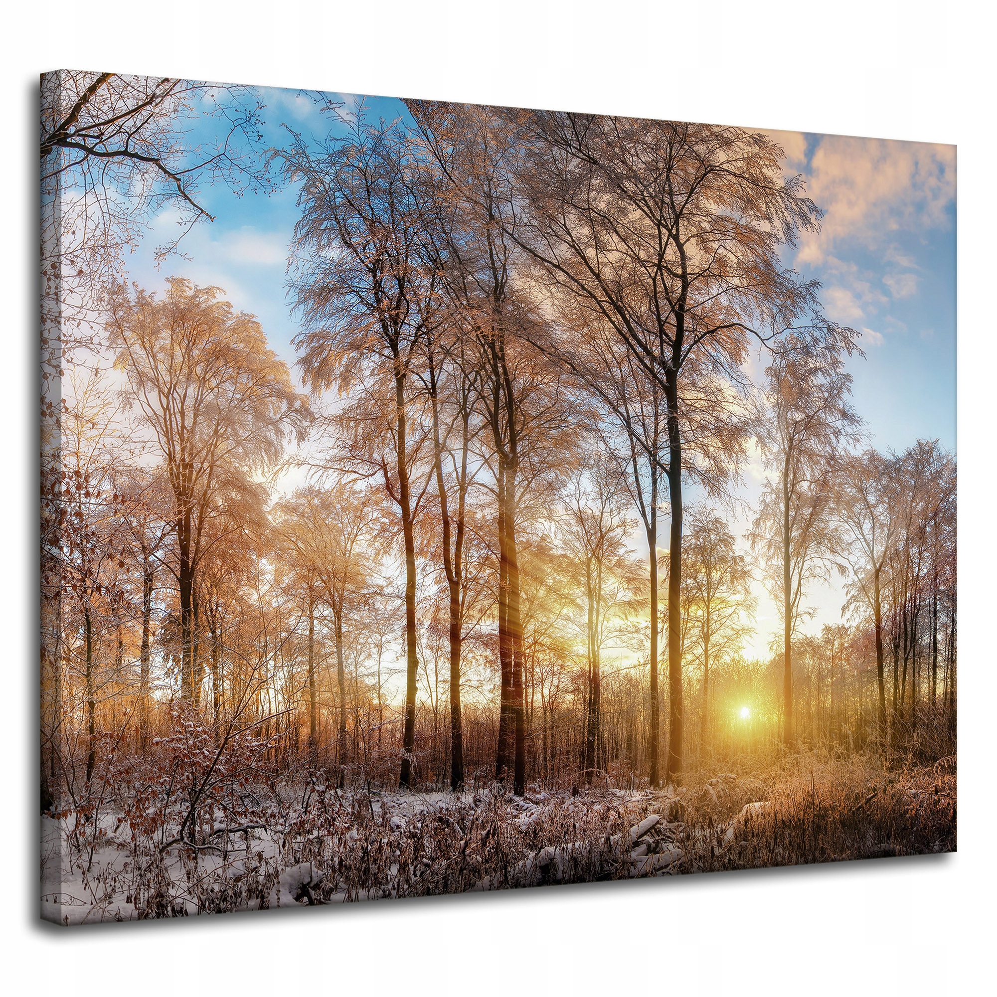 Obraz na plátně Stromy Zima Vycházející Slunce 100x80 cm Ideální jako dárek