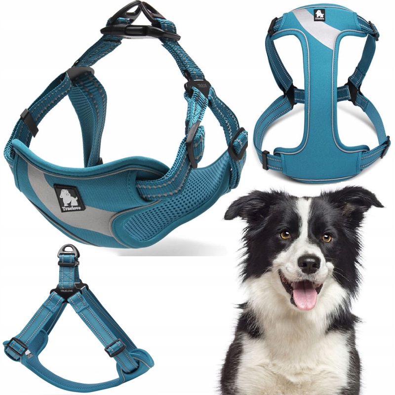 Levně Obojky Pro Psa Typu Step-in Lehké Reflexní Truellove Daily Plus Modré L